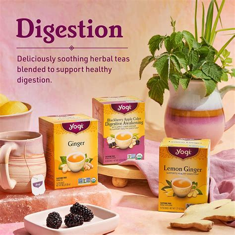 Tea Ginger Tea 6 Pack Supports Healthy Digestion Soothing And Spicy Blend Caffeine