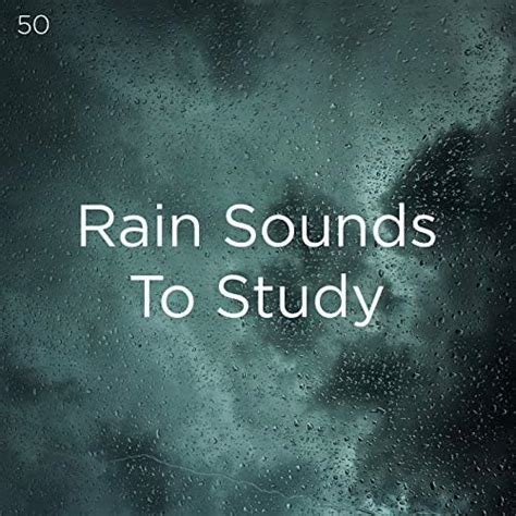 Reproducir 50 Rain Sounds To Study De Meditation Rain Sounds Relaxing