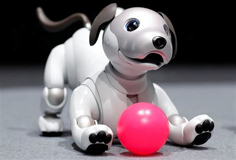 Sony Launches New Aibo Robot Dog As It Revives Pet Ai Project