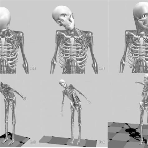 Diagrammatic Representation Of Pitch Roll And Yaw And The Cervical And Download Scientific