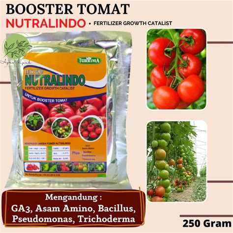 Jual Pupuk Organik Booster Tomat Pupuk Tomat Berbuah Lebat Pupuk