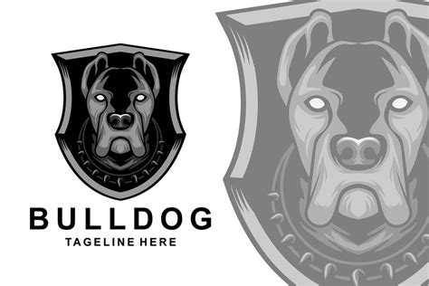 21 Best Shield Logo Design Templates Download Graphic Cloud