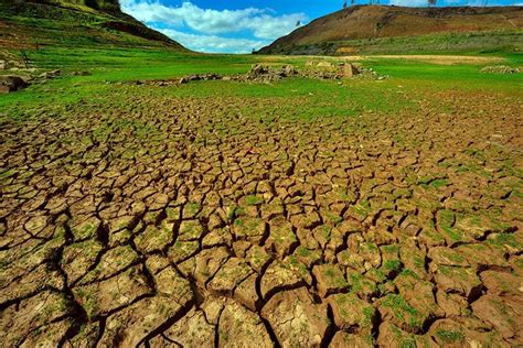 Causas Efeitos E Solu Es Para As Secas Rota Verde