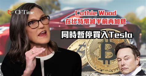 女股神cathie Wood在比特幣減半前再加倉 同時暫停買入tesla