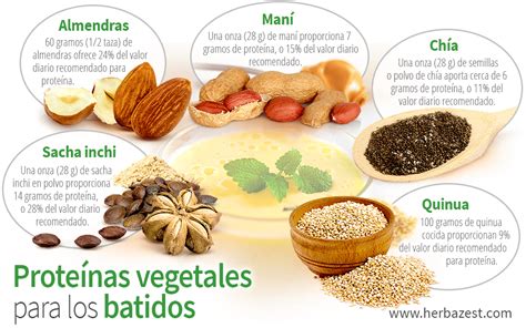 Proteínas vegetales para los batidos HerbaZest