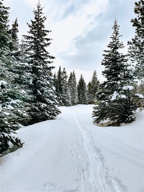 Snow day in Oregon : r/AmateurEarthPorn