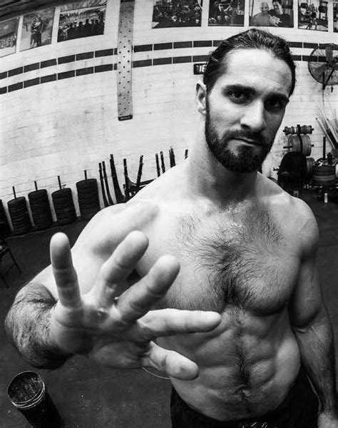 Seth Rollins Crossfit Seth Freakin Rollins Seth Rollins Hairy