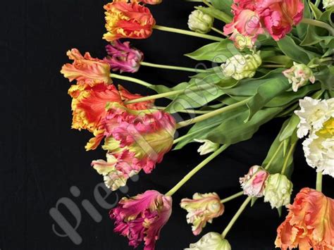 Zijde Bloemen Kunstbloemen Arrangement Gouden Pot Lange Franse