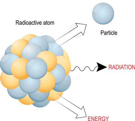 Radioactivity Flashcards Quizlet