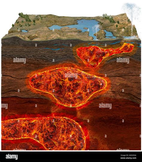 Yellowstone Magma Chambers Cut Away Computer Illustration Showing The