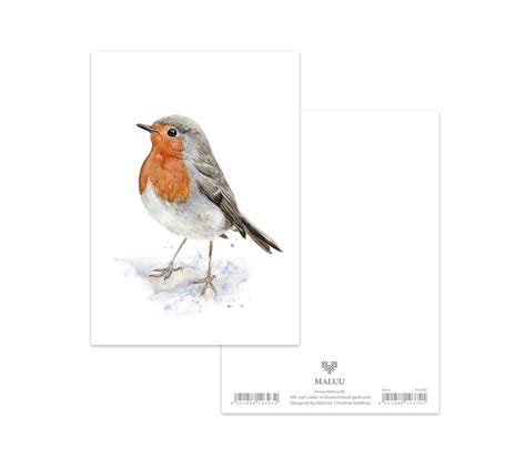 Postkarte Karte Rotkehlchen Robin By Maluu