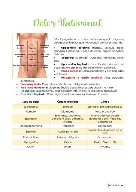 Dolor Abdominal Apuntes De Medicina Resúmenes De Medicina Udocz