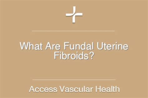 What Are Fundal Uterine Fibroids