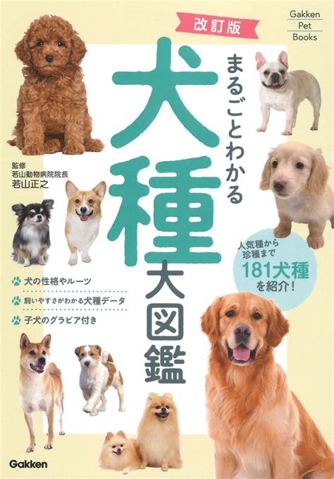 楽天ブックス 改訂版 まるごとわかる犬種大図鑑 若山正之 9784058020661 本