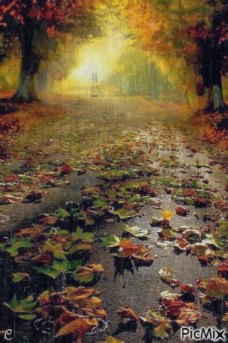 autumn rain gif