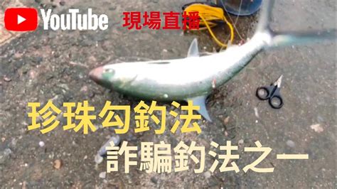 （第62集）taiwan 釣魚樂珍珠勾釣法專釣虱目魚臺灣釣魚 Youtube