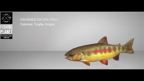 Fishing Planet Rocky Lake Trophy Colorado Golden Trout Float