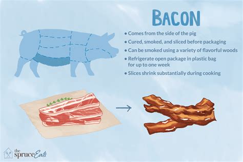 What Is Bacon And Where Does It Come From