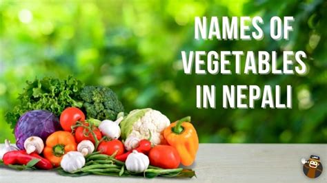 120 Names Of Vegetables In Nepali Easy Guide Ling App