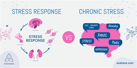 Stress Response What It Is And How To Handle It