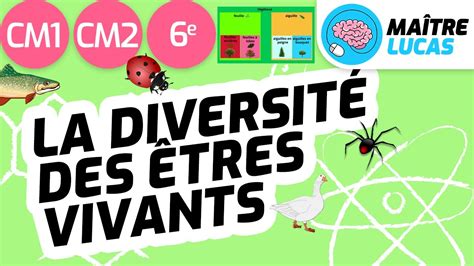 Diversité des êtres vivants classer les êtres vivants CM1 CM2