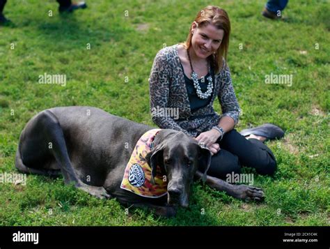 Giant George Great Dane Standing