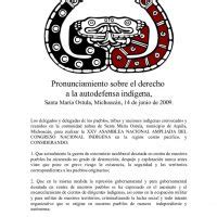 8 Pronunciamiento Sobre El Derecho A La Autodefensa Indigena