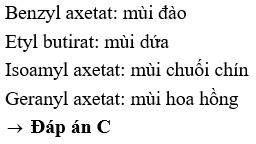 Este C M I Chu I Ch N L A Benzyl Axetat B Etyl Butirat C Isoamyl