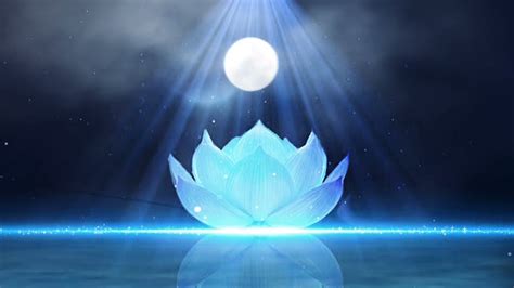 Powerful 432 Hz Meditation Music The Blue Lotus Flower Youtube