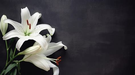 Premium Ai Image Condolence Card With Lily Funeral Flower