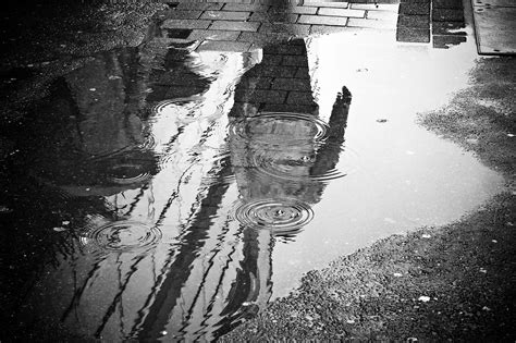 Rain Puddle Water - Free photo on Pixabay - Pixabay