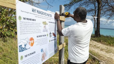 Climate Resilience From Mountaintop to Seafloor: How three communities