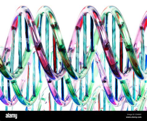 Dna Molecules Artwork Stock Photo Alamy