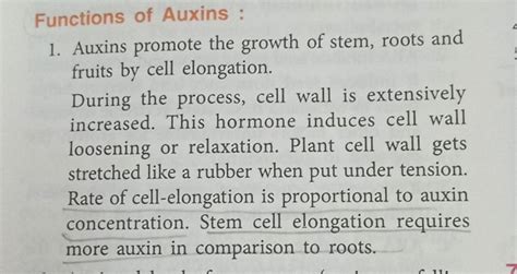 Functions Of Auxins 1 Auxins Promote The Growth Of Stem Roots And Fru