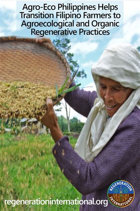 Agro Eco Philippines Helps Transition Filipino Farmers To