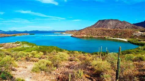 baja    choosing   experience  baja california