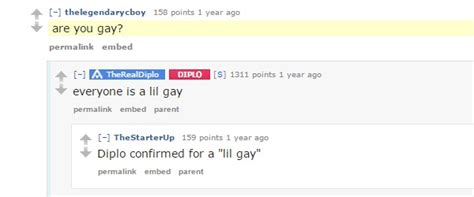 DJ Producer Diplo Says He Is Half Gay Rave Jungle