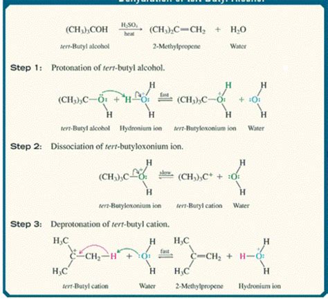 AAMC Practice Exam 1 Chem Phys Flashcards Quizlet