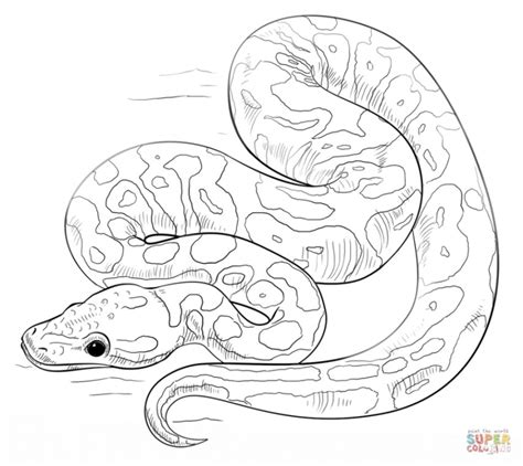 20 Free Printable Snake Coloring Pages