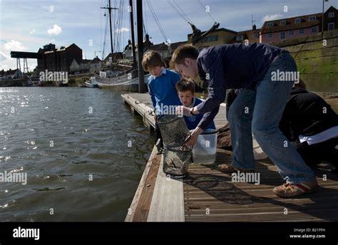 Crabbing,Wells Next the Sea, Norfolk, Britain, UK Stock Photo - Alamy