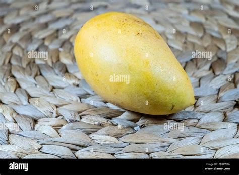 The Ataúlfo Mango Also Called Young Baby Yellow Honey Adaulfo