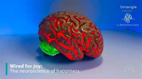 Wired For Joy The Neuroscience Of Happiness Youtube