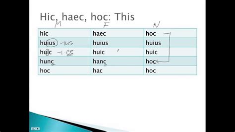 Hic Haec Hoc The First Demonstrative Pronounadjective Youtube