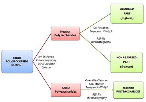 Purification Of Polysaccharides By Chromatography Download Scientific Diagram