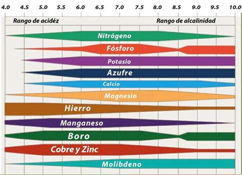 Que Es El Ph Del Suelo Infoagronomo