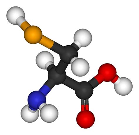 Amino Acid Structure Png Clipart Png All – NBKomputer