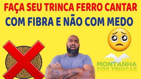 FAÇA SEU TRINCA FERRO CANTAR FIBRA E NÃO MEDO YouTube