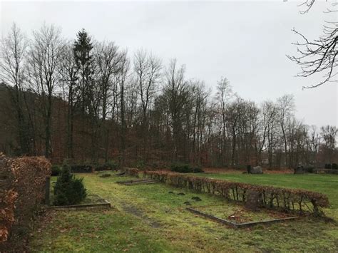 Waldruhestätte besser auf den Hauptfriedhof Grüne Homburg