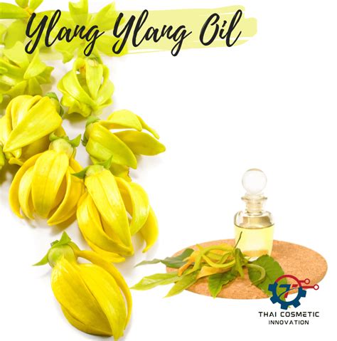 น้ำมันหอมระเหยกระดังงา Ylang Ylang Essential Oil Tcicosmetic