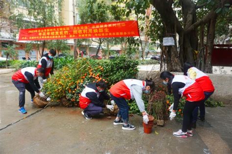 台山市新时代文明实践志愿服务总队开展“年花年桔莫乱扔，回收利用焕新生”主题志愿服务活动部门动态台山市人民政府门户网站